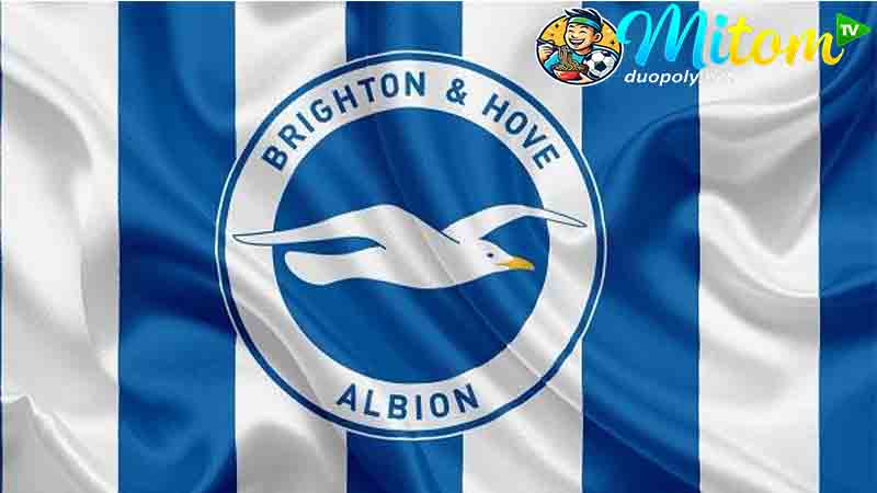 Tìm hiểu tổng quan câu lạc bộ bóng đá Brighton & Hove Albion