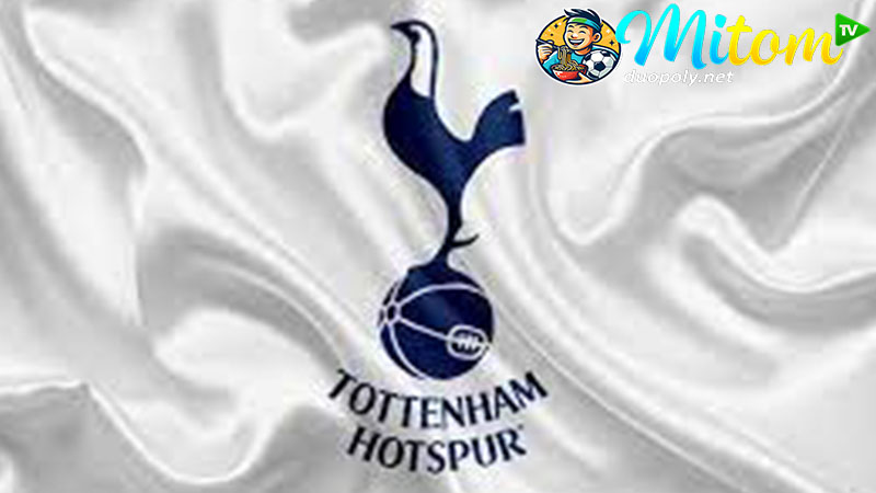 Tìm hiểu tổng quan về câu lạc bộ bóng đá Tottenham Hotspur