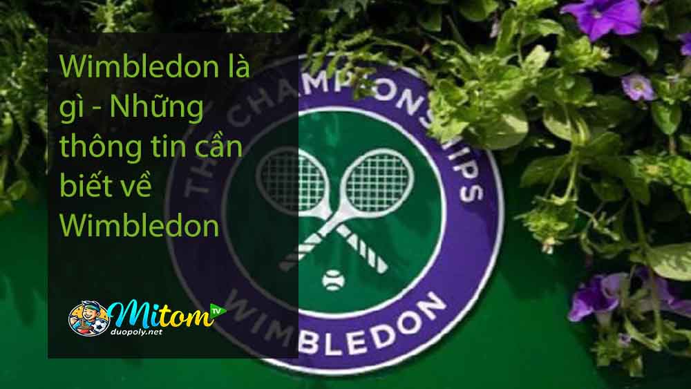 Wimbledon là gì - Những thông tin cần biết về Wimbledon