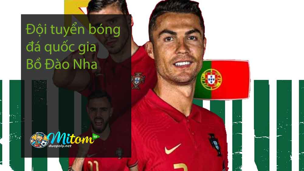 Đội tuyển bóng đá quốc gia Bồ Đào Nha