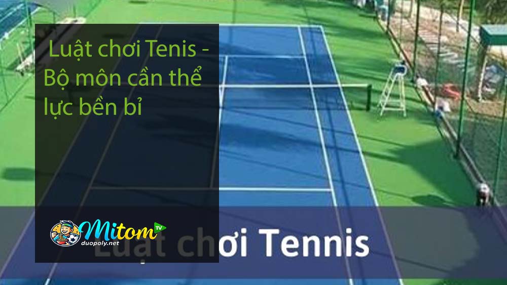 Luật chơi Tenis - Bộ môn cần thể lực bền bỉ