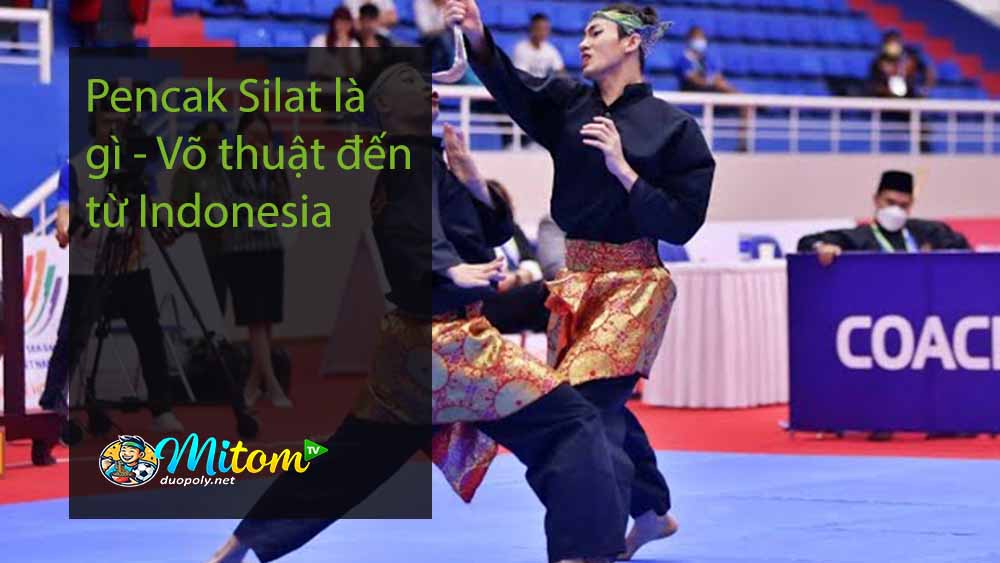 Pencak Silat là gì - Võ thuật đến từ Indonesia