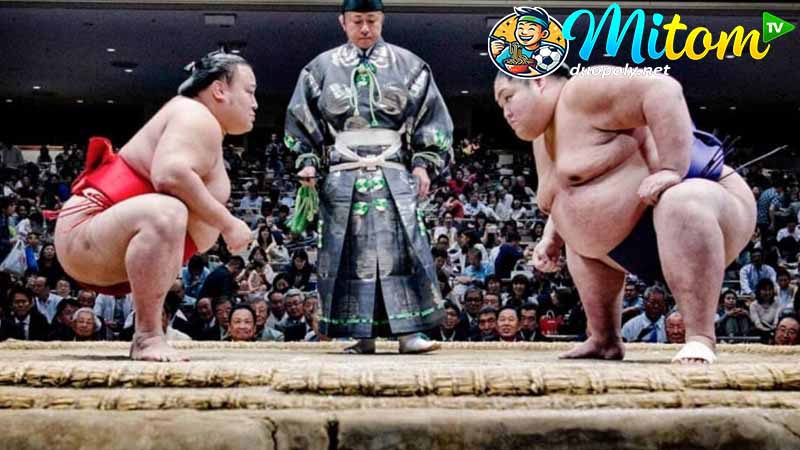 Chi tiết về Sumo Nhật Bản 