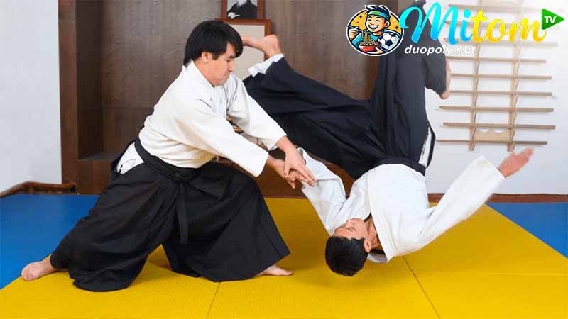 Chi tiết tổng quan về Võ Aikido là gì 