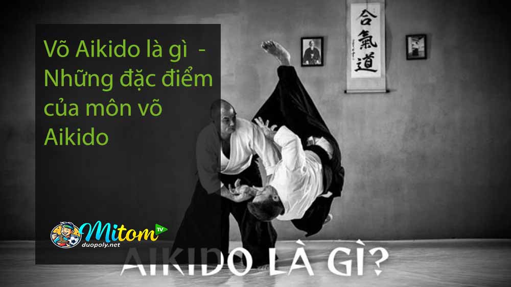 Võ Aikido là gì - Những đặc điểm của môn võ Aikido