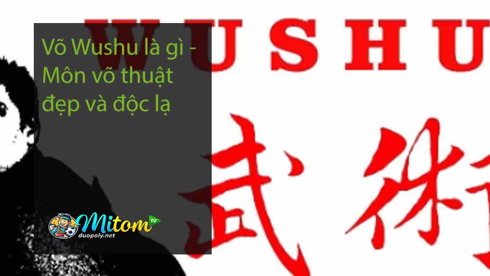 Võ Wushu là gì - Môn võ thuật đẹp và độc lạ