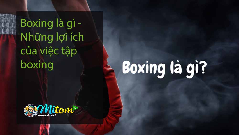 Boxing là gì - Những lợi ích của việc tập boxing